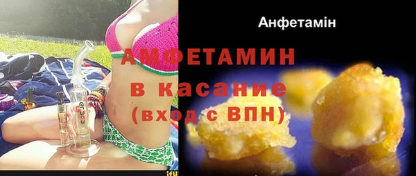 прущие грибы Нея