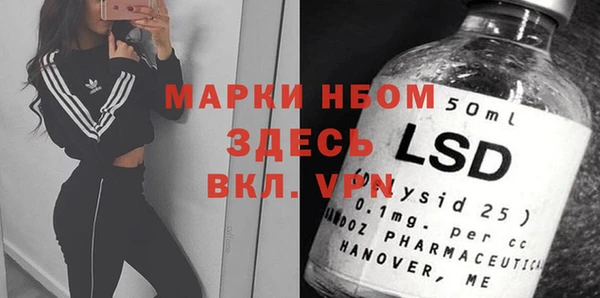 прущие грибы Нея