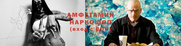 прущие грибы Нея