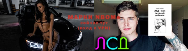 прущие грибы Нея