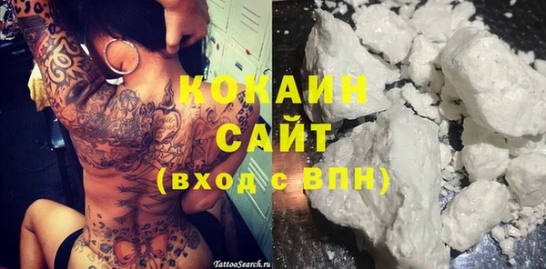 прущие грибы Нея