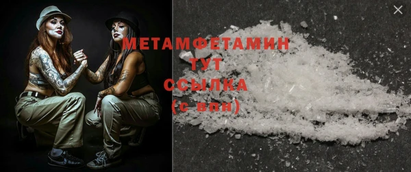 прущие грибы Нея