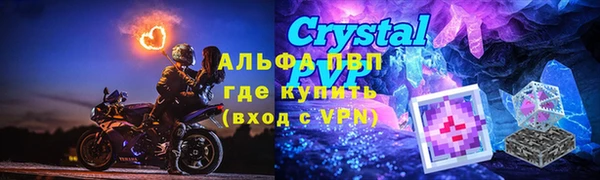 прущие грибы Нея