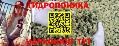 молекула духа Кинель