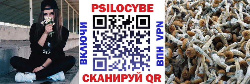 Псилоцибиновые грибы Cubensis блэк спрут ССЫЛКА Ялта