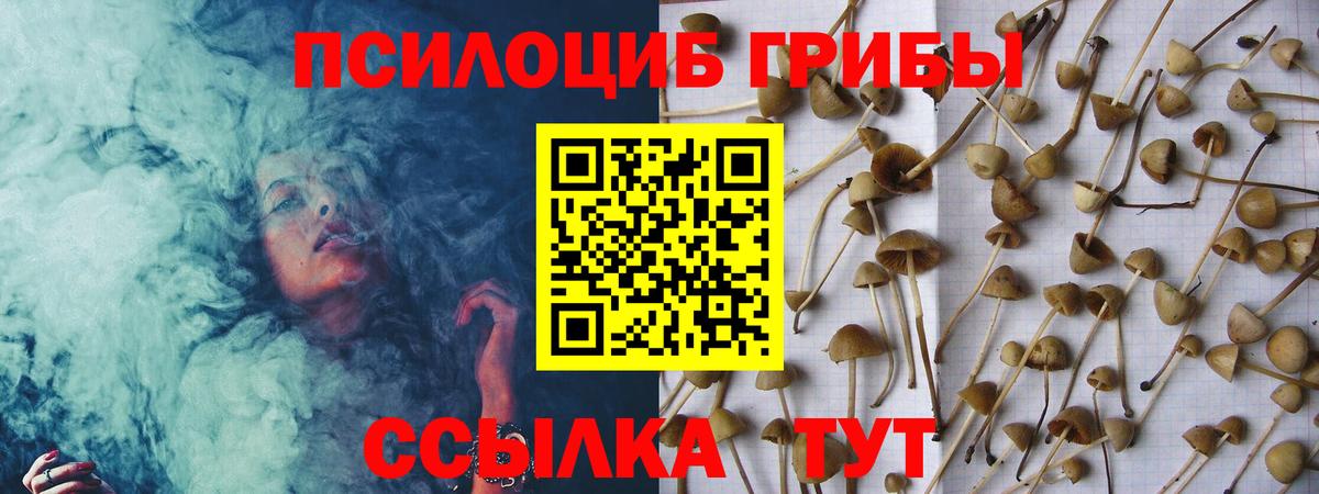 Псилоцибиновые грибы GOLDEN TEACHER  Вход с VPN  Ялта 