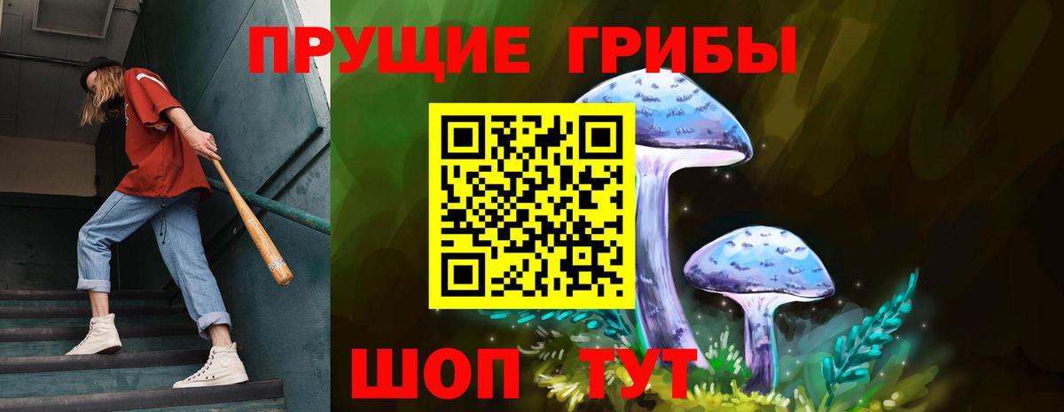 Псилоцибиновые грибы прущие грибы Ялта
