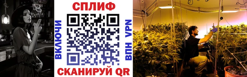 Конопля сатива  МЕГА   Ялта 